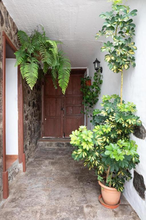 Casa Canaria Acero Garachico  Dış mekan fotoğraf