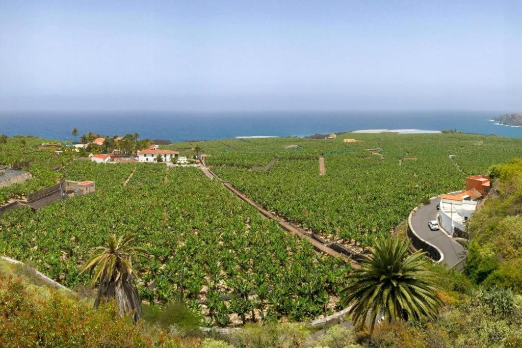 Casa Canaria Acero Garachico  Dış mekan fotoğraf